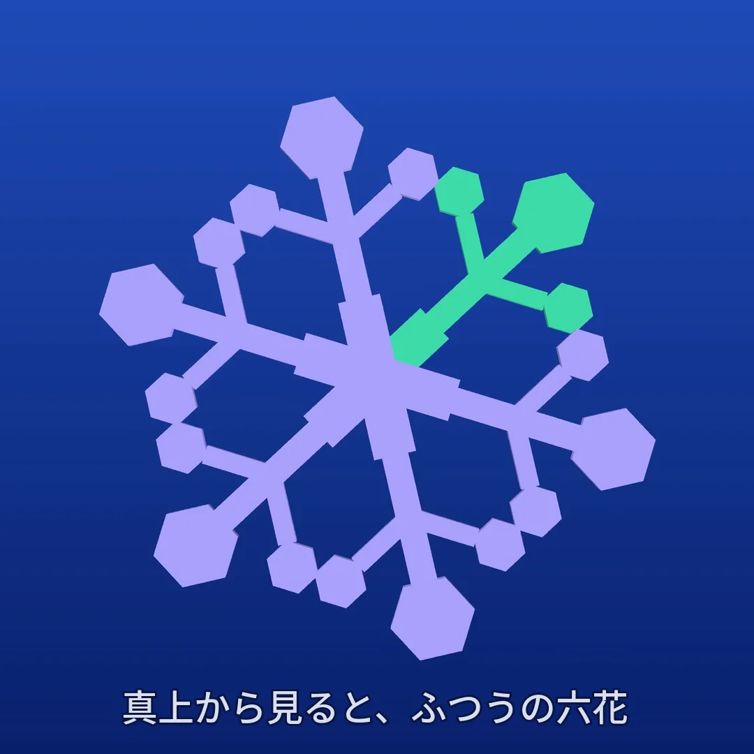 1花+5花の3Dモデル静止画