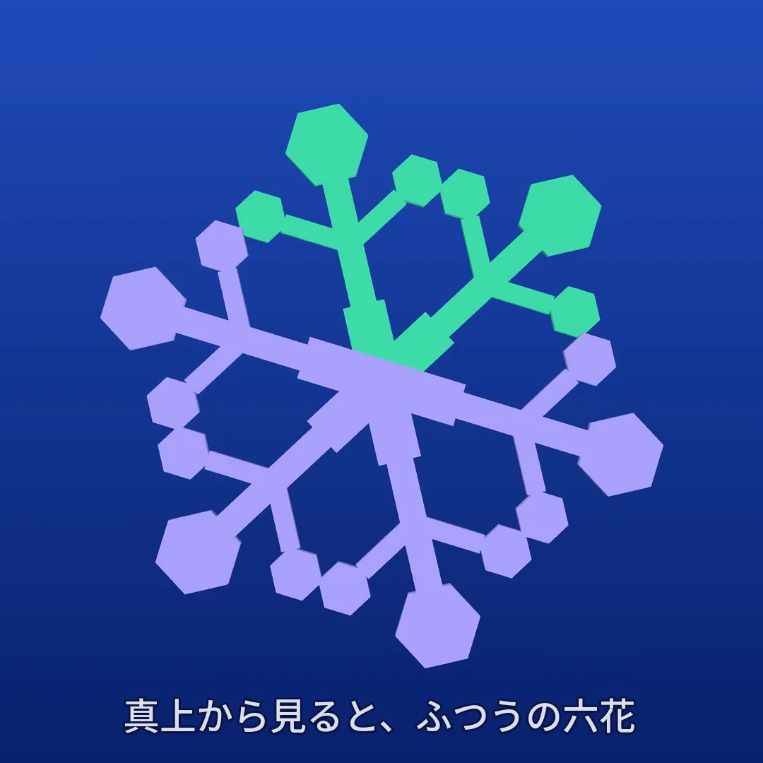 2花+4花の3Dモデル静止画
