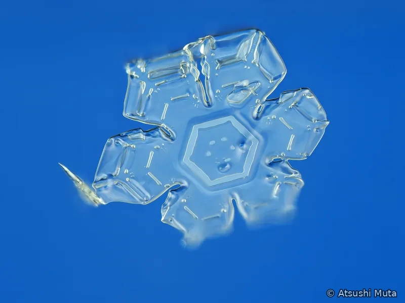 中央に六角形を残しながら外周が不均等に成長した非対称な板状雪結晶