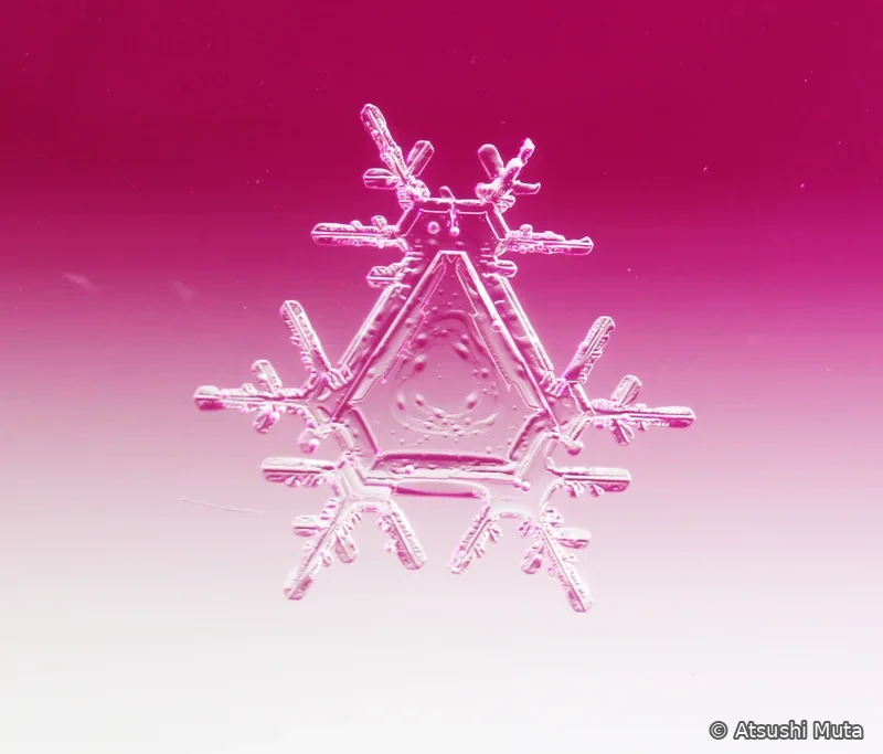 大きな三角板を中心に三方向へ枝が伸びた三回対称性の目立つ雪結晶