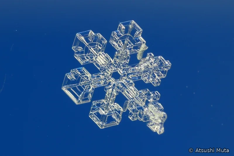 六本の主枝と側枝の先に大きな角板が発達し一部に付着物がある雪結晶