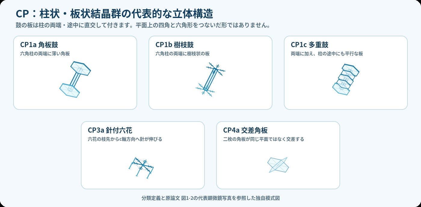 CP柱状・板状結晶群の代表立体構造。六角柱の両端に角板が直交するCP1a角板鼓、両端に樹枝状板が付くCP1b樹枝鼓、柱途中にも平行な板が付くCP1c多重鼓、六花の枝先からc軸方向へ針が伸びるCP3a針付六花、二枚の角板が異なる平面で交差するCP4a交差角板