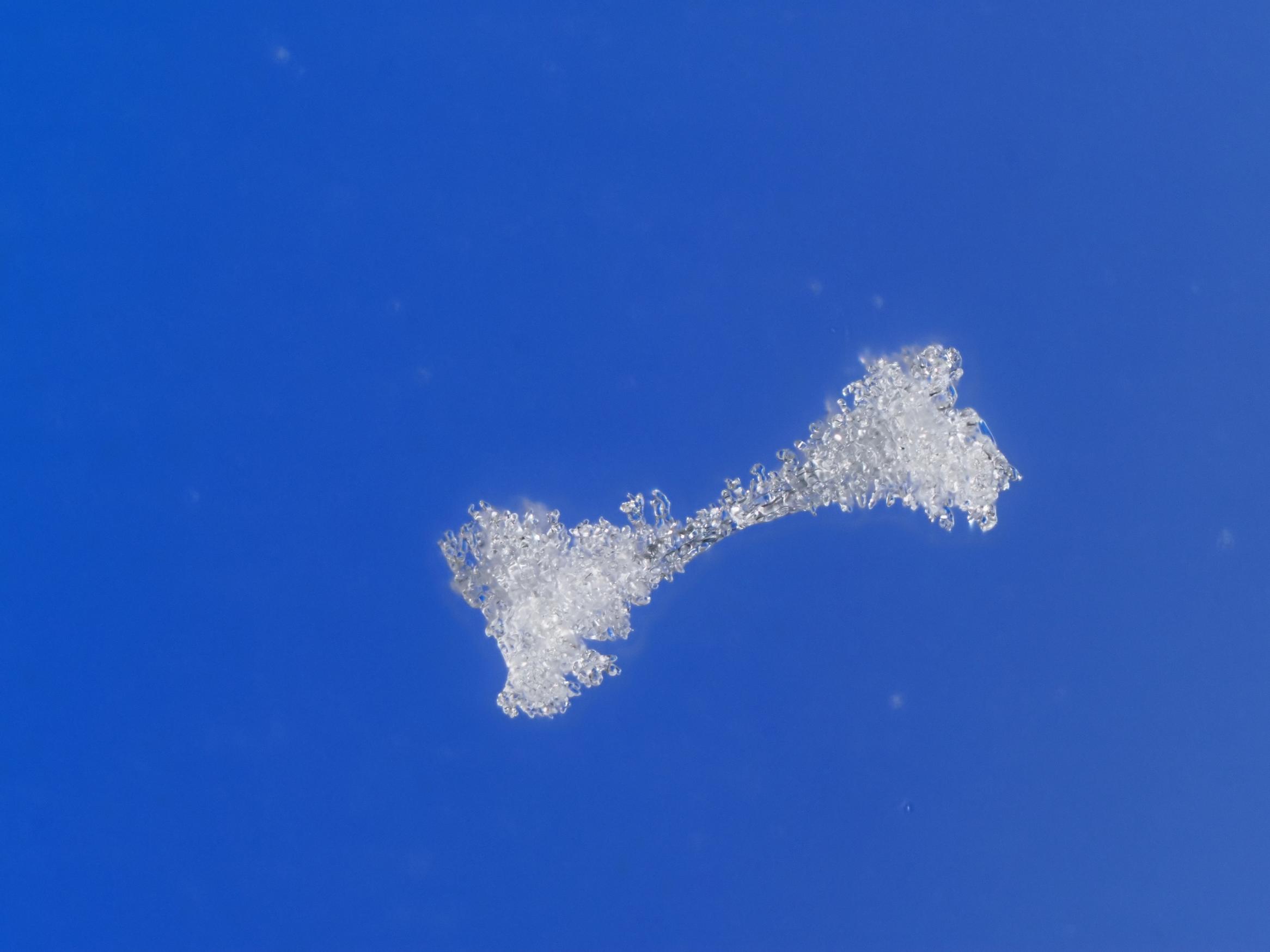 Two-branched snow crystal / 2花