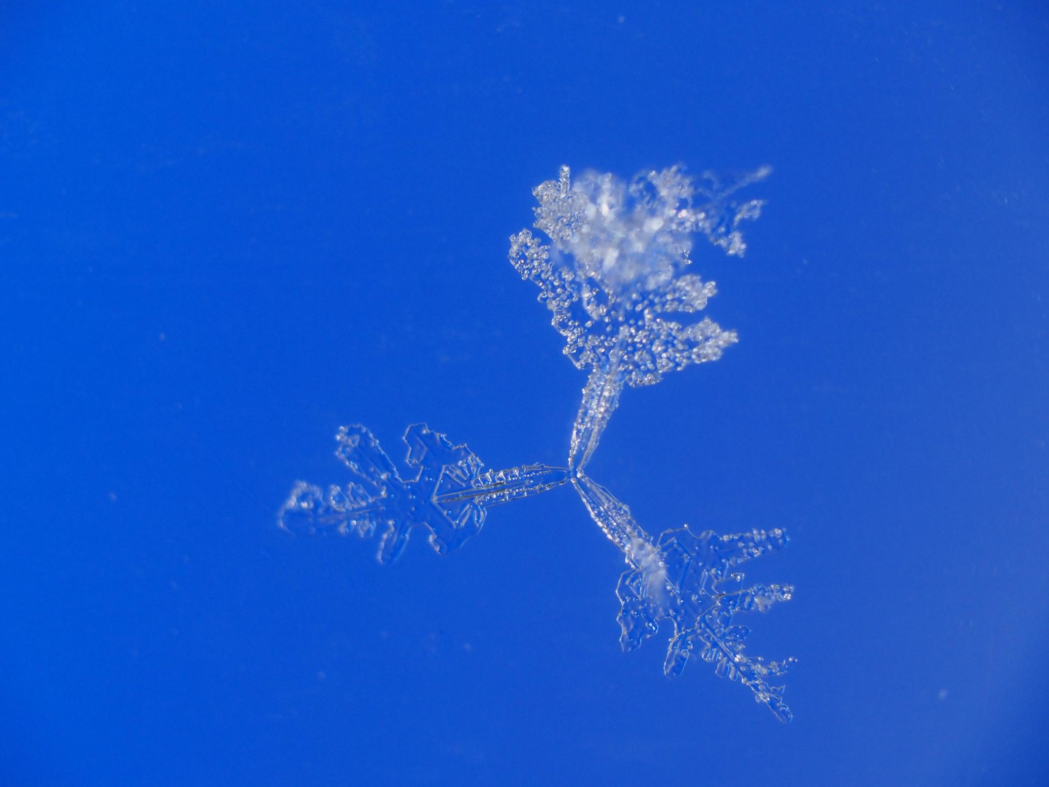 Three-branched snow crystal / 3花
