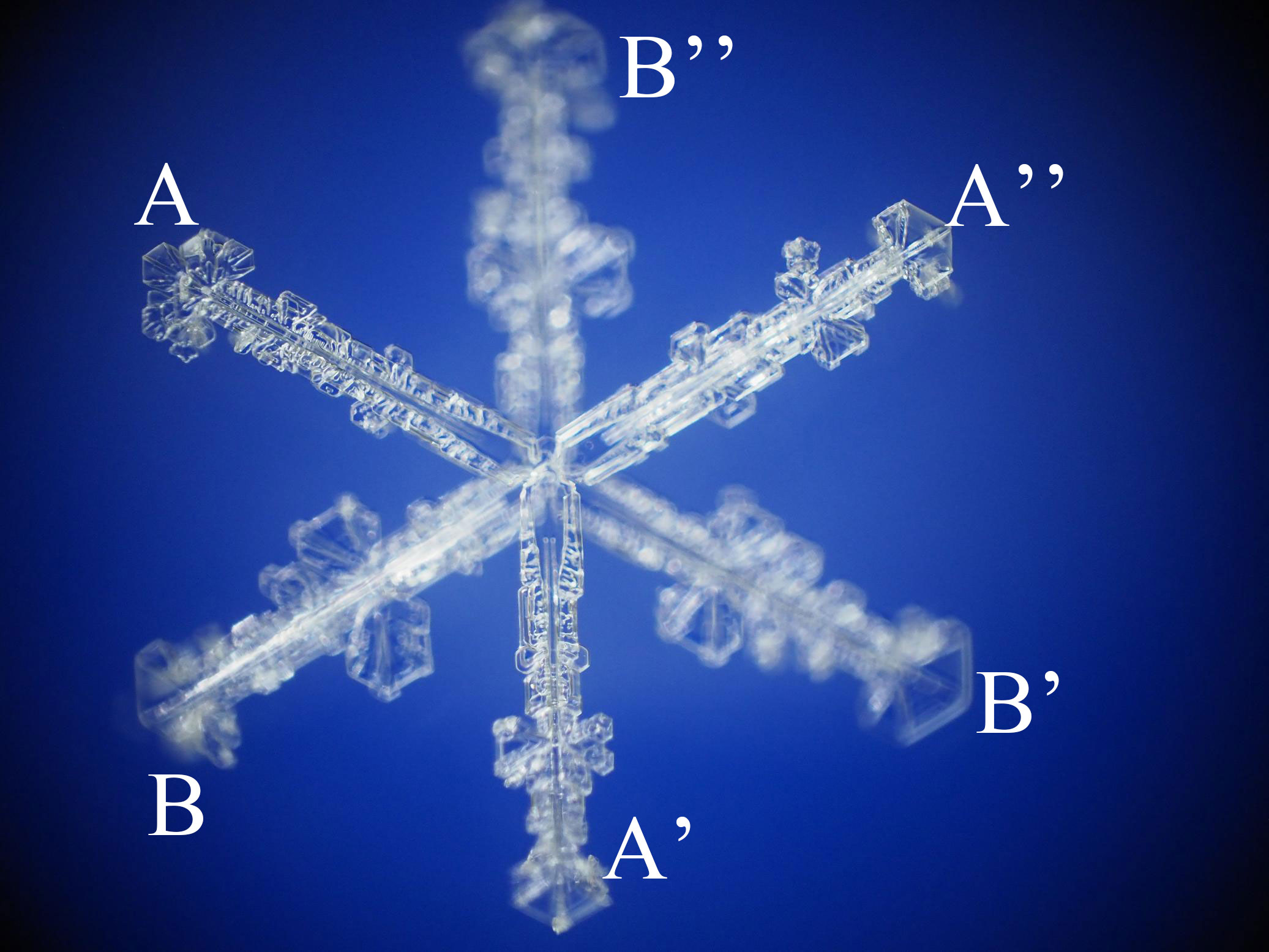 Actual combined six-branched crystal made of two three-branched plates / 3花と3花が重なった組み合わせ六花