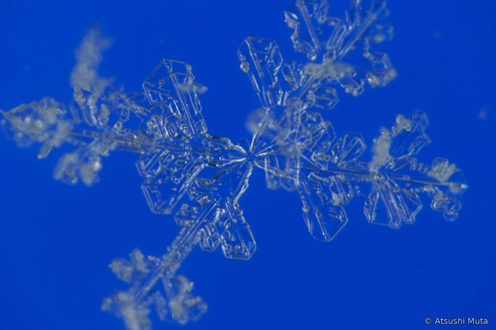 大きな四本枝に小さな枝が加わる雪結晶