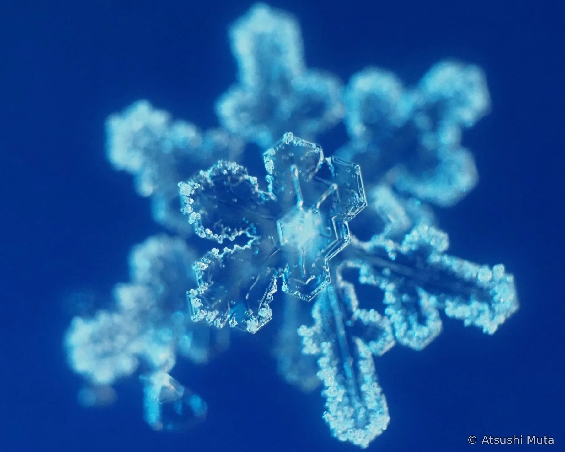 3層雪結晶で手前側の層が明瞭に見える焦点位置