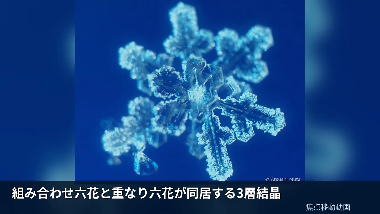 組み合わせ六花と重なり六花が同居する3層結晶の焦点移動動画