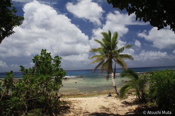 ロタ島の熱帯の海岸